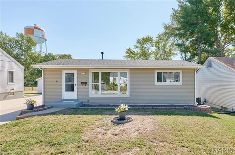 18 White Drive St Louis MO 63135