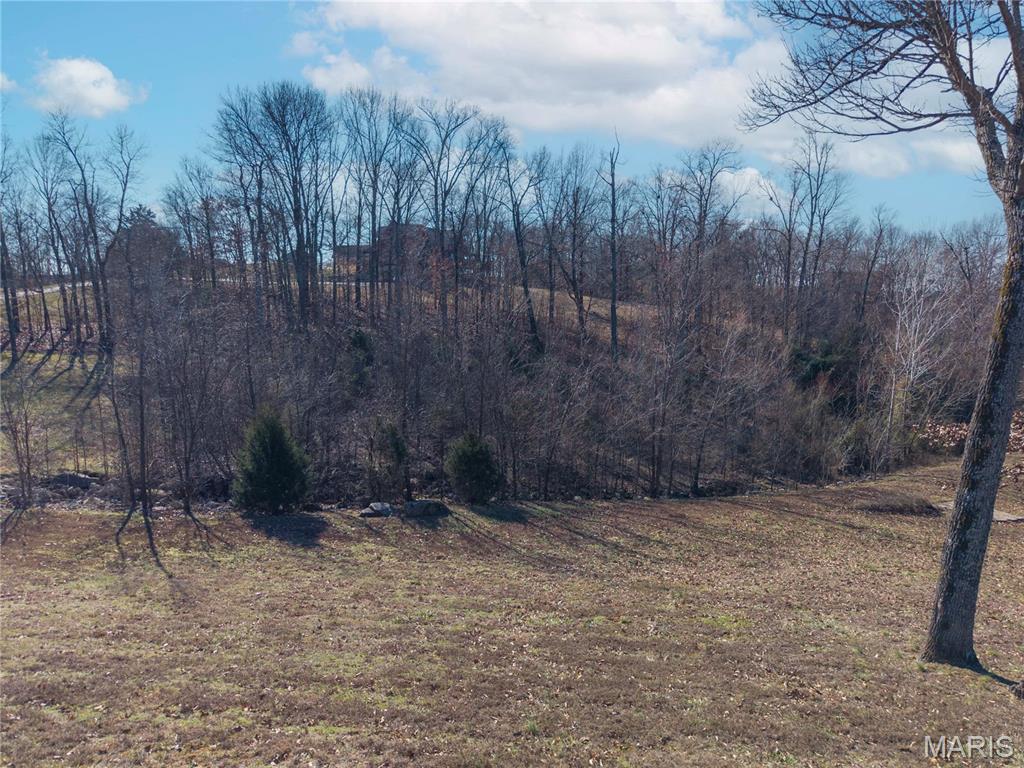 Saddlebrooke Ridge - Land