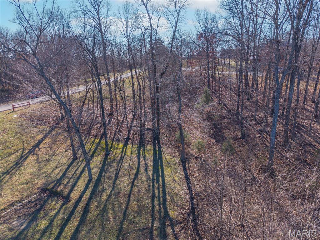 Saddlebrooke Ridge - Land