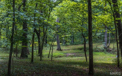 Tiny photo for 1137 Highway F, Eolia, MO 63344 (MLS # 26059909)