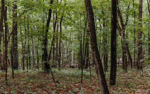 Tiny photo for 1137 Highway F, Eolia, MO 63344 (MLS # 26059909)