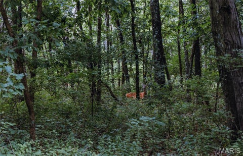 Tiny photo for 1137 Highway F, Eolia, MO 63344 (MLS # 26059909)