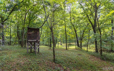 Tiny photo for 1137 Highway F, Eolia, MO 63344 (MLS # 26059909)