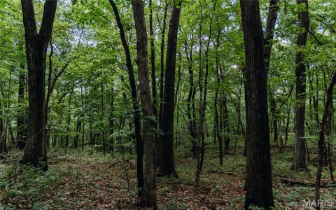 Tiny photo for 1137 Highway F, Eolia, MO 63344 (MLS # 26059909)