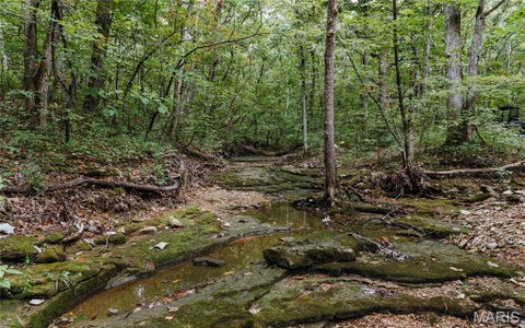 Tiny photo for 1137 Highway F, Eolia, MO 63344 (MLS # 26059909)