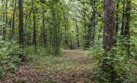 Tiny photo for 1137 Highway F, Eolia, MO 63344 (MLS # 26059909)