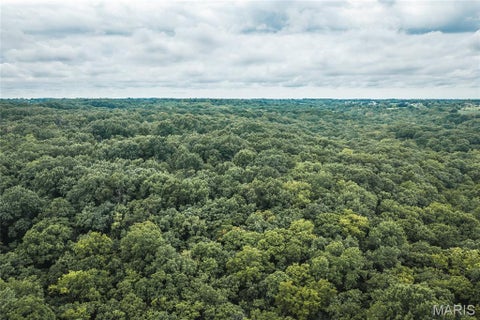 Tiny photo for 1137 Highway F, Eolia, MO 63344 (MLS # 26059909)