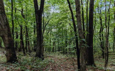 Tiny photo for 1137 Highway F, Eolia, MO 63344 (MLS # 26059909)