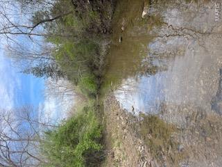 KINGDOM OF CALLAWAY EST - Residential