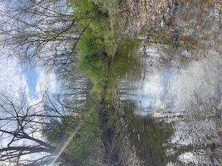 KINGDOM OF CALLAWAY EST - Residential