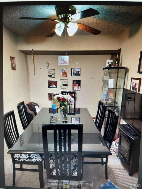 Tiny photo for 308 Crawford Road, St Louis, MO 63137 (MLS # 26031425)