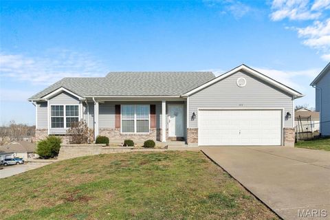 Photo of 323 Park Hill Drive, Union, MO 63084 (MLS # 25080048)