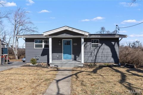 2913 Glade Avenue St Louis MO 63136