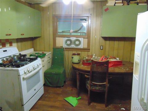 Tiny photo for 500 Ripley 21N-10, Doniphan, MO 63935 (MLS # 26030748)