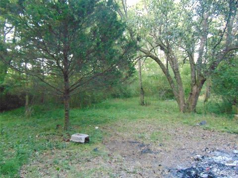 Tiny photo for 500 Ripley 21N-10, Doniphan, MO 63935 (MLS # 26030748)