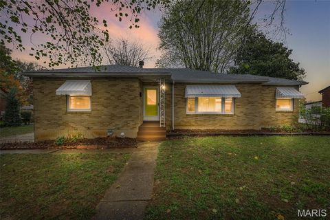 920 Michigan Street Farmington MO 63640