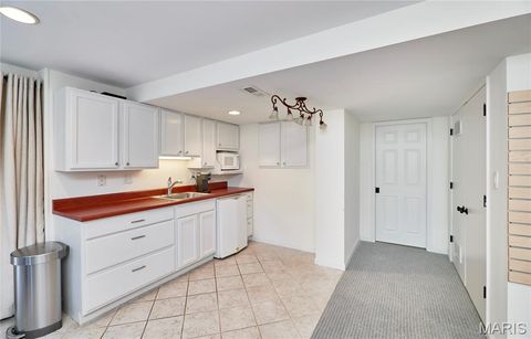Tiny photo for 1339 Oak Borough Drive, Ballwin, MO 63021 (MLS # 25067321)