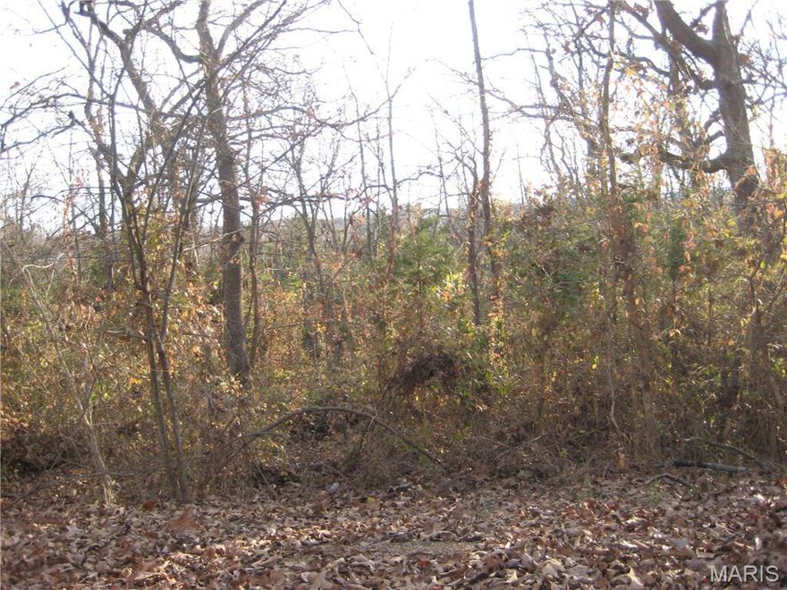 POSSIBLE LAND  ASSEMBLAGE OPPORTUNITY, BUILD ON THESE TWO CITY LOTS WITH UTILITIES, PLUS THE ENTIRE CITY BLOCK ADJOINING WITHIN THE CITY LIMITS OF DESOTO. 93,940 SQ, FT.  300X301X327X369  PARCELS 24120224002001 AND 24120224007002. ITS APPROX 109,379 SQ. FT. OF LAND WITH THE POTENTIAL OF A 60 FOOT CITY STREET EXTENSION COMING TO PROPERTY, OR A LONG DRIVEWAY.  PULL UP MAP, AERIAL, OR PARCEL ON TOP OF LISTING. OWNER-BROKER PROPERTY FOR MANY YEARS.