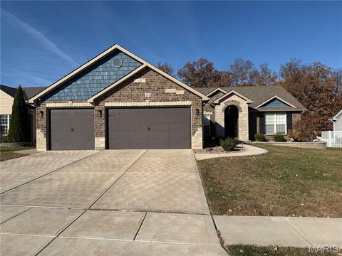 Photo of 243 Lonepine Drive, Wentzville, MO 63385 (MLS # 25076194)