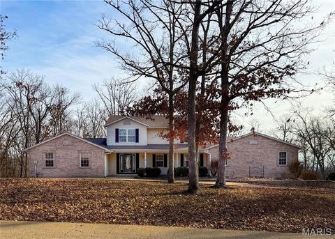 Photo of 1195 Ridge Top Drive, Farmington, MO 63640 (MLS # 25081878)