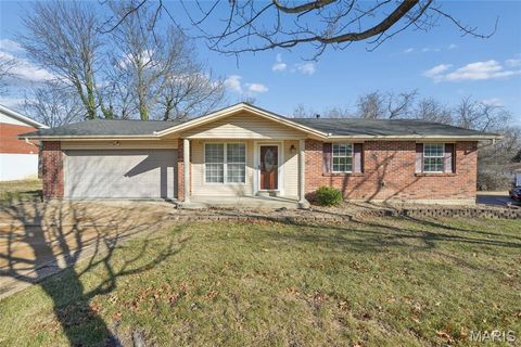 1438 Twin Oaks Drive Unincorporated MO 63010