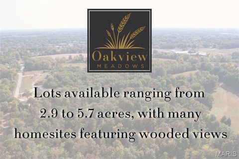 Photo of 12 Oakview Ct. - Lot 15, Troy, MO 63379 (MLS # 26005202)