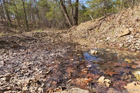Tiny photo for 2480 County Road 317, Other, MO 65773 (MLS # 26019567)
