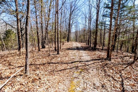 Tiny photo for 2480 County Road 317, Other, MO 65773 (MLS # 26019567)