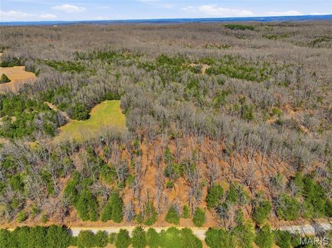 Tiny photo for 2480 County Road 317, Other, MO 65773 (MLS # 26019567)