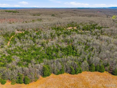 Tiny photo for 2480 County Road 317, Other, MO 65773 (MLS # 26019567)