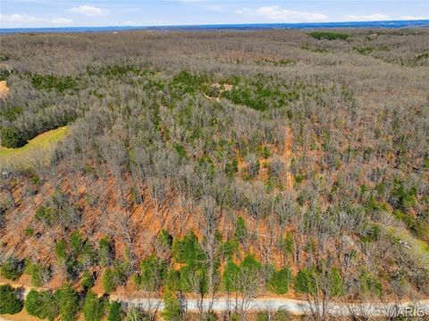 Tiny photo for 2480 County Road 317, Other, MO 65773 (MLS # 26019567)