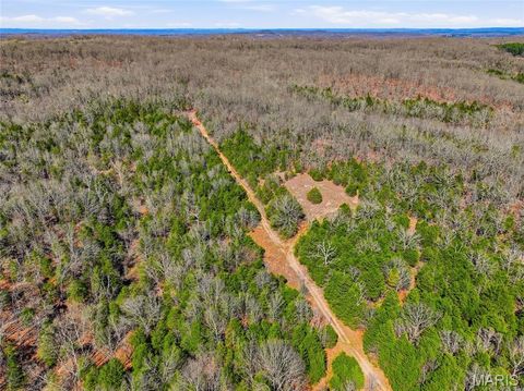 Tiny photo for 2480 County Road 317, Other, MO 65773 (MLS # 26019567)