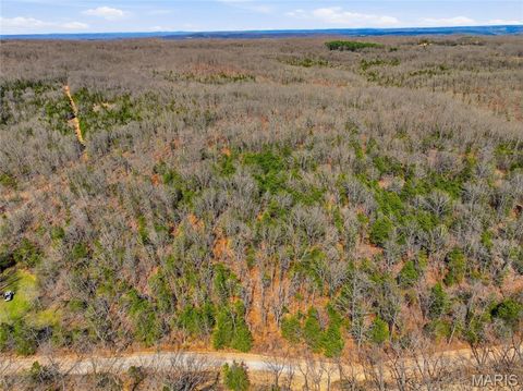 Tiny photo for 2480 County Road 317, Other, MO 65773 (MLS # 26019567)