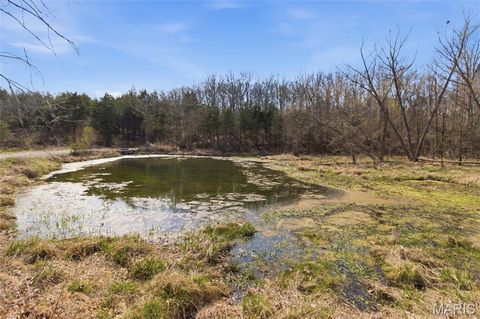 Tiny photo for 2480 County Road 317, Other, MO 65773 (MLS # 26019567)