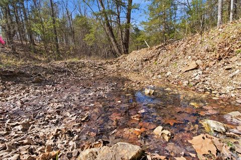 Tiny photo for 2480 County Road 317, Other, MO 65773 (MLS # 26019567)