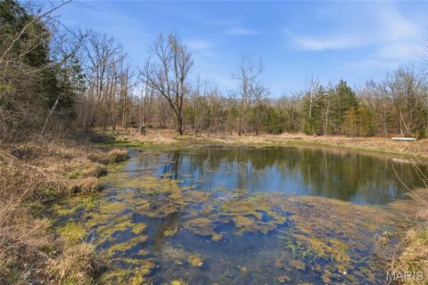Tiny photo for 2480 County Road 317, Other, MO 65773 (MLS # 26019567)