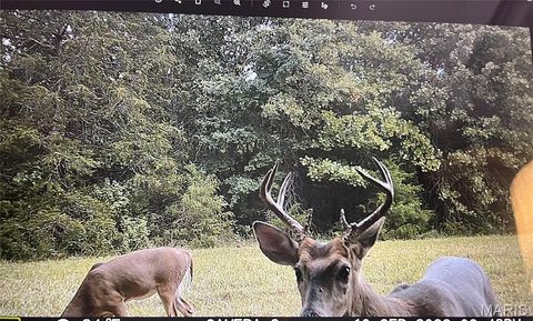 Tiny photo for 2480 County Road 317, Other, MO 65773 (MLS # 26019567)