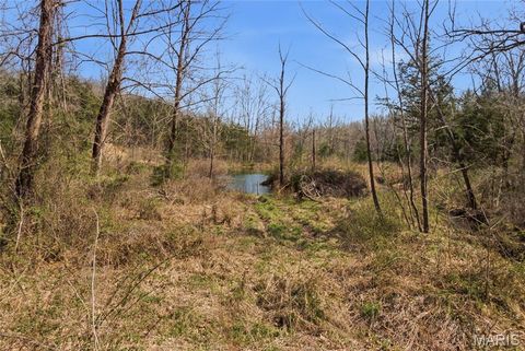 Tiny photo for 2480 County Road 317, Other, MO 65773 (MLS # 26019567)
