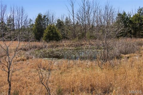 Tiny photo for 2480 County Road 317, Other, MO 65773 (MLS # 26019567)