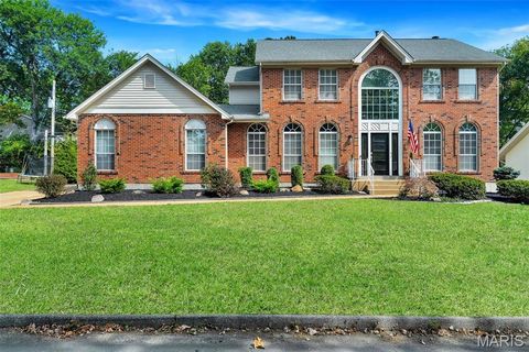 216 Townsend Street Creve Coeur MO 63141