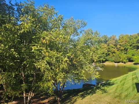 Tiny photo for 14325 Gatwick Court, Chesterfield, MO 63017 (MLS # 25069606)