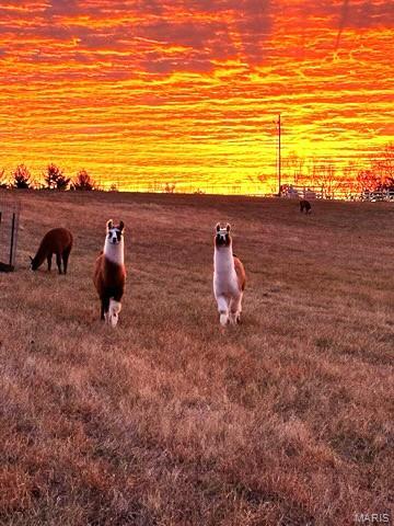 St. Anns View - Residential