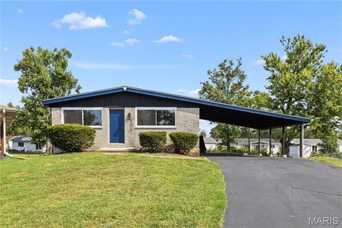 20 Tamma Lane Hazelwood MO 63042