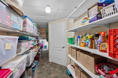 Tiny photo for 14108 Lynn Road, Poplar Bluff, MO 63901 (MLS # 26018849)