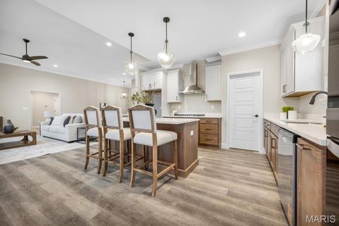 Tiny photo for 113 Timber Wind Drive, Wentzville, MO 63385 (MLS # 25081299)