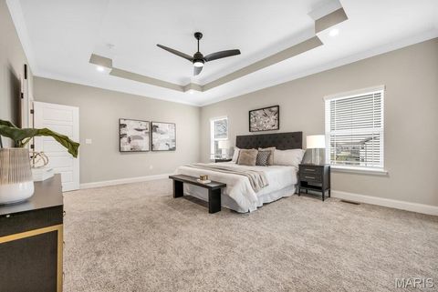 Tiny photo for 113 Timber Wind Drive, Wentzville, MO 63385 (MLS # 25081299)