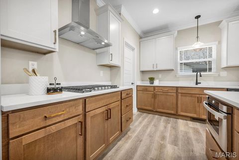 Tiny photo for 113 Timber Wind Drive, Wentzville, MO 63385 (MLS # 25081299)