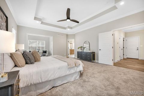 Tiny photo for 113 Timber Wind Drive, Wentzville, MO 63385 (MLS # 25081299)