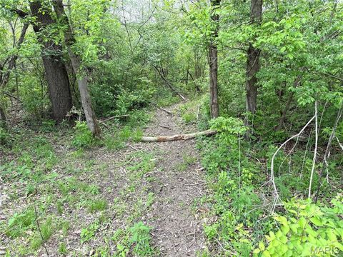 Tiny photo for 19142 Hardt Road, Wildwood, MO 63038 (MLS # 26022349)