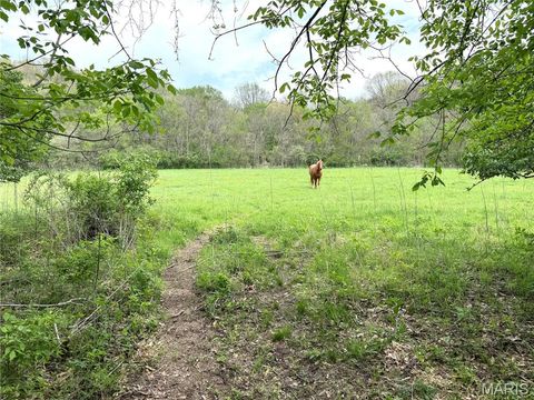 Tiny photo for 19142 Hardt Road, Wildwood, MO 63038 (MLS # 26022349)